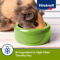 Guinea pig enjoying Vita Smart mix during mealtime.