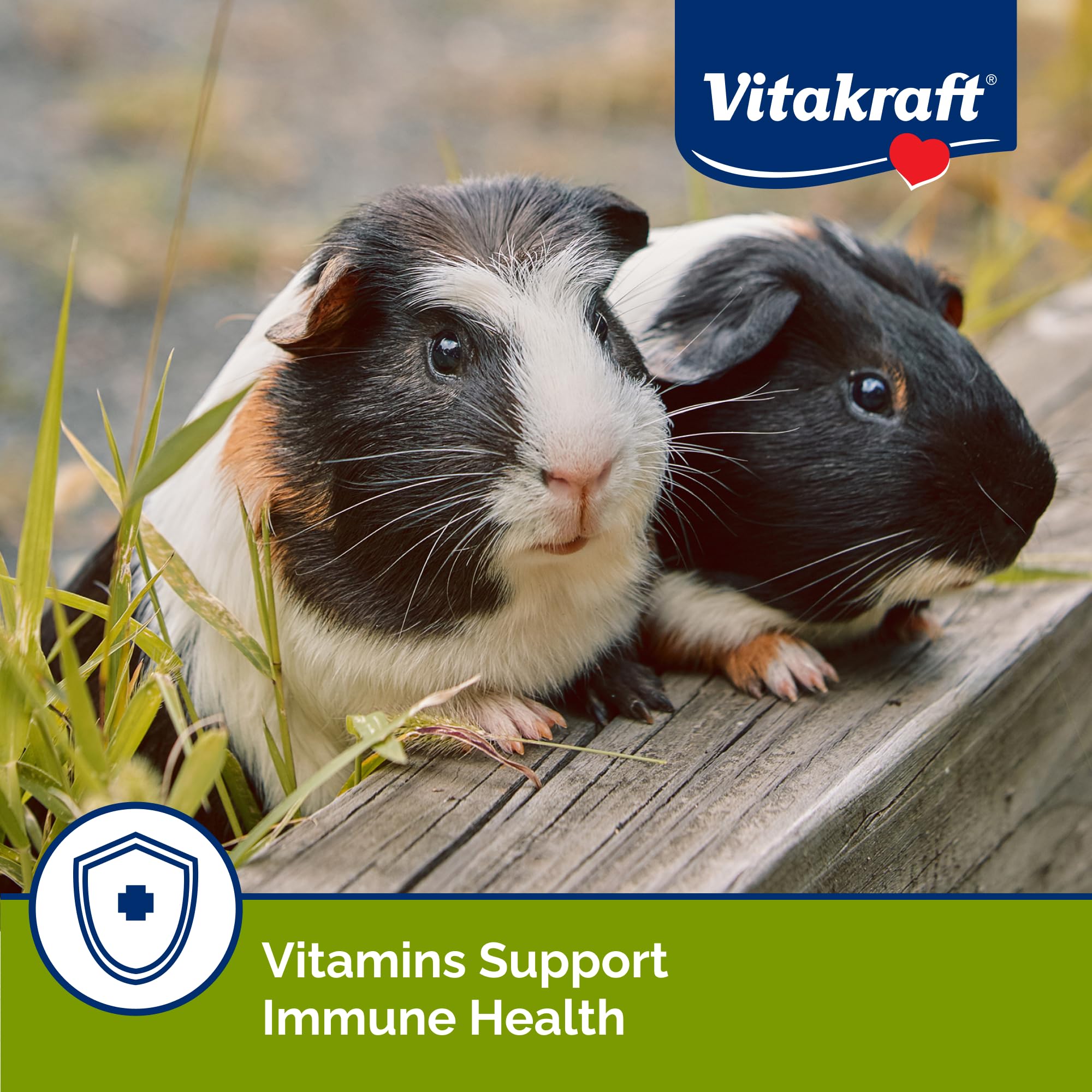 Fresh vegetables included in Vita Smart mix for guinea pigs.
