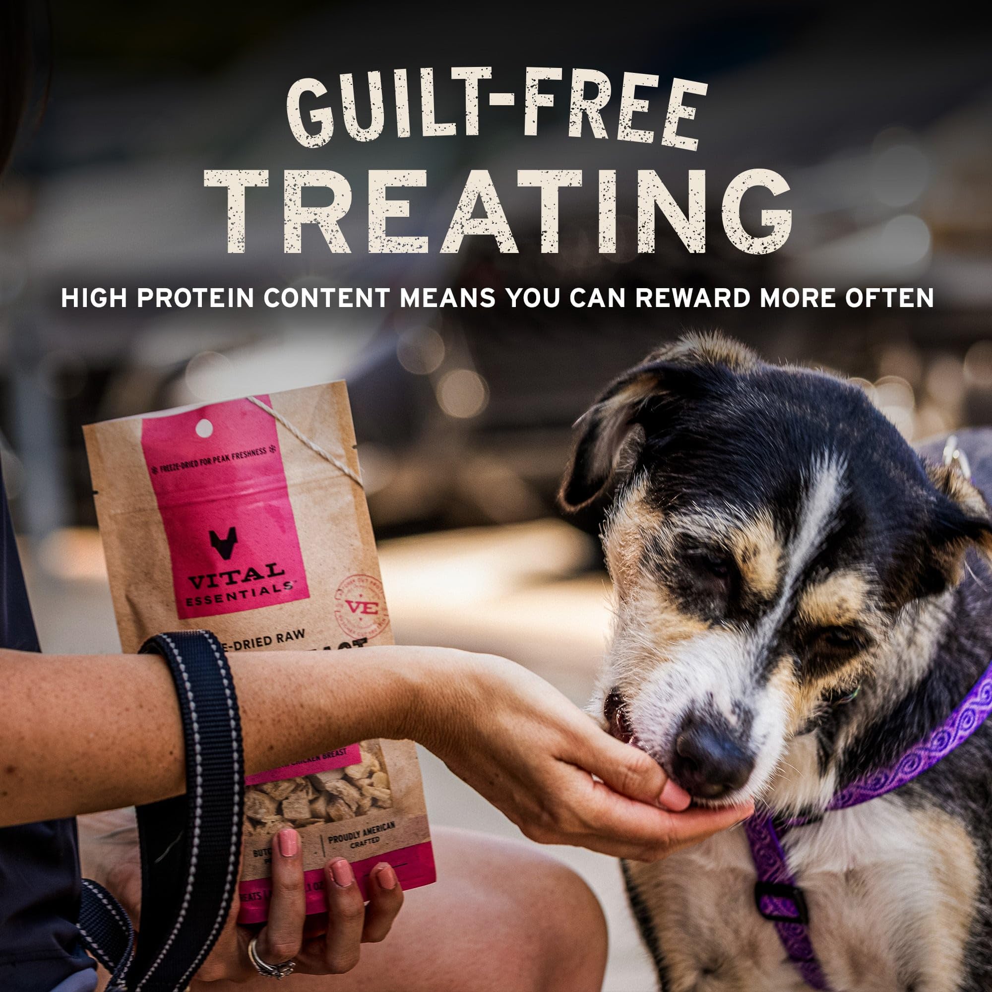 Dog happily accepting Vital Essentials beef tripe nibs during training.