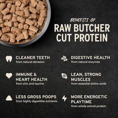 Dog enjoys Vital Essentials soft nibs, tender chunks for easy chewing.