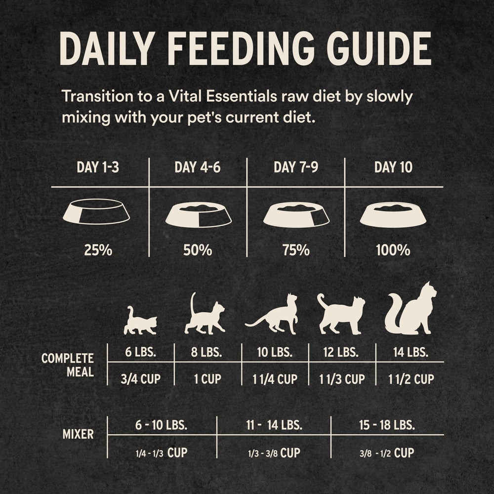 Vital Essentials lean protein nibs close-up, supports active play in cats.
