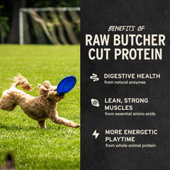 Vital Essentials American-crafted dog treats, grain-free and hypoallergenic option.