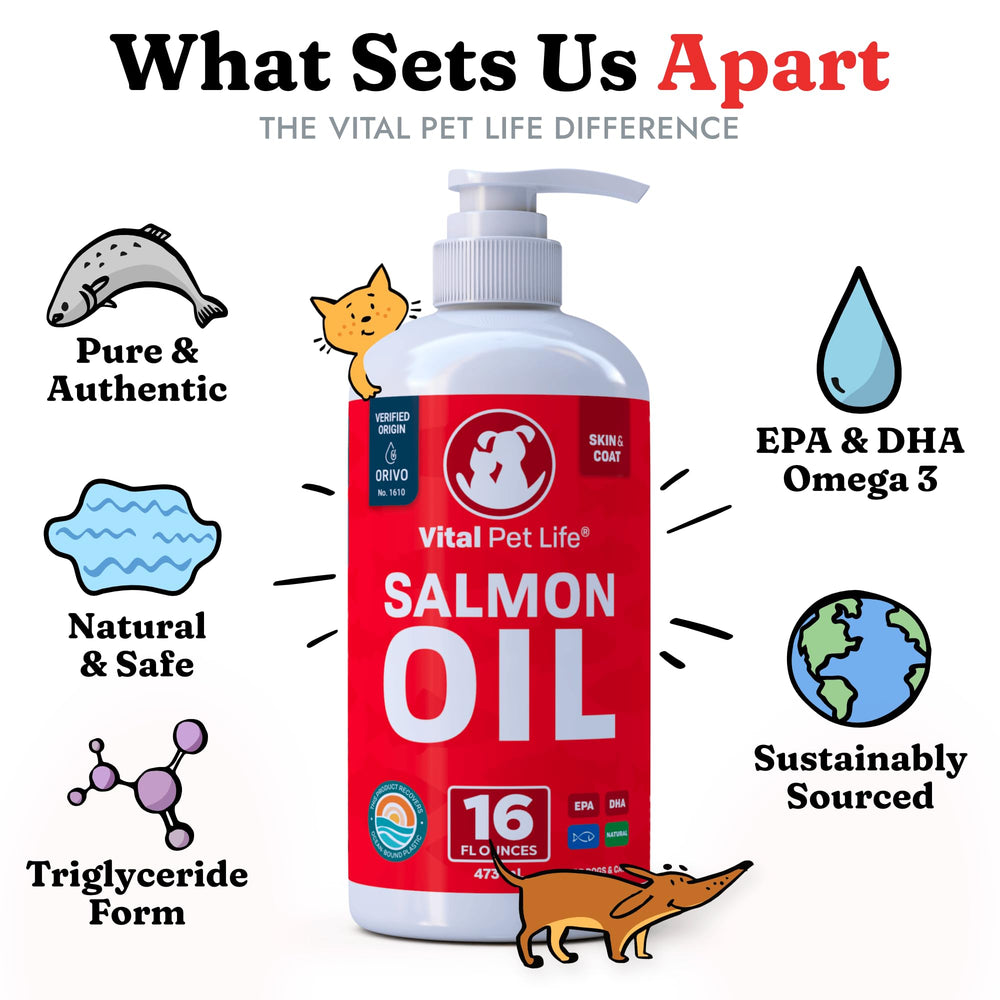 Vital Pet Life Salmon Oil supports joint comfort for active pets.