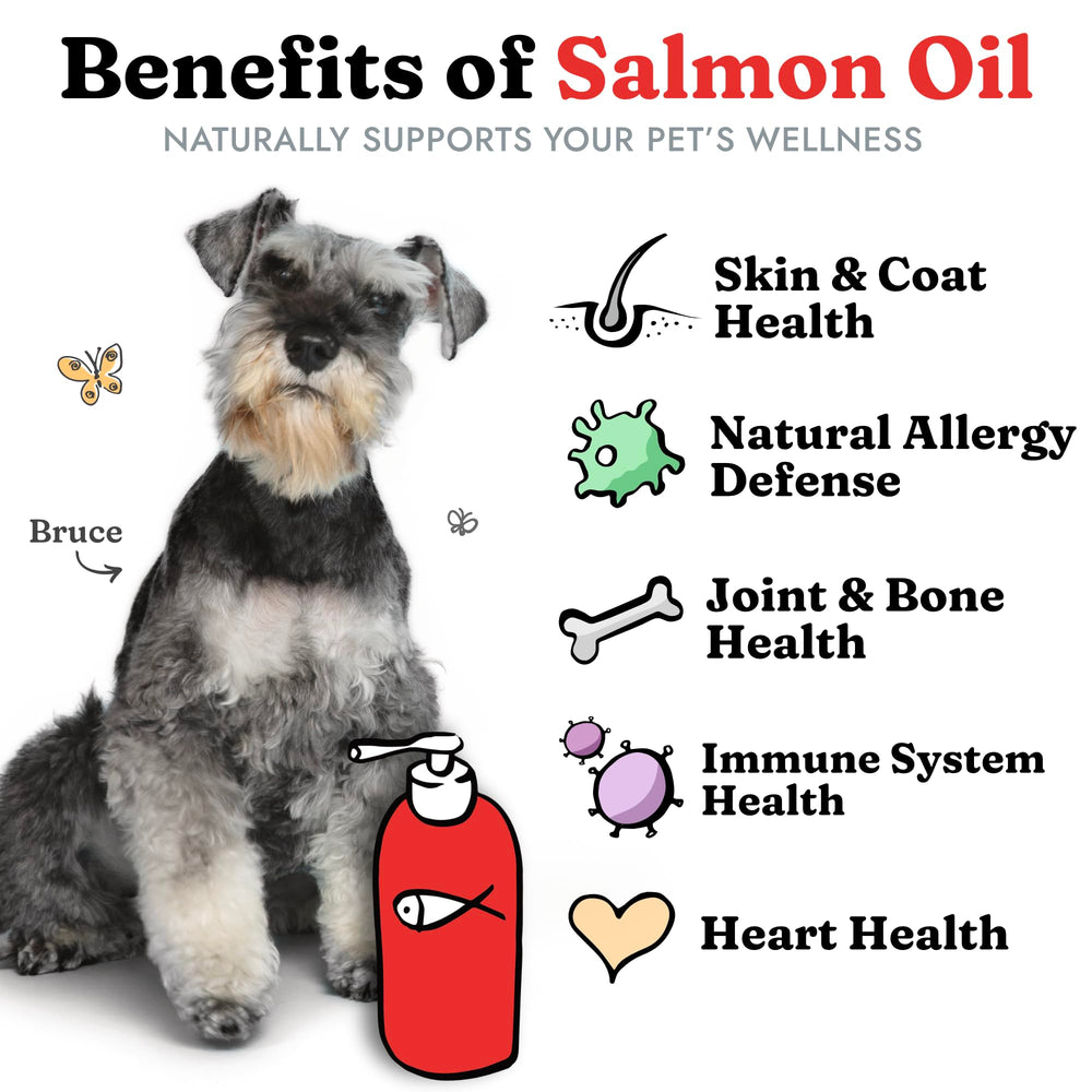 Vital Pet Life Salmon Oil pour demonstrates easy daily dosing for pets