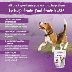 Vital Planet Calm chews for dogs close-up of the bite-sized treat.