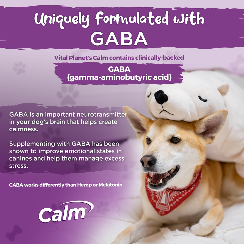 Vital Planet Calm bundle packaging shows a convenient solution for stress.