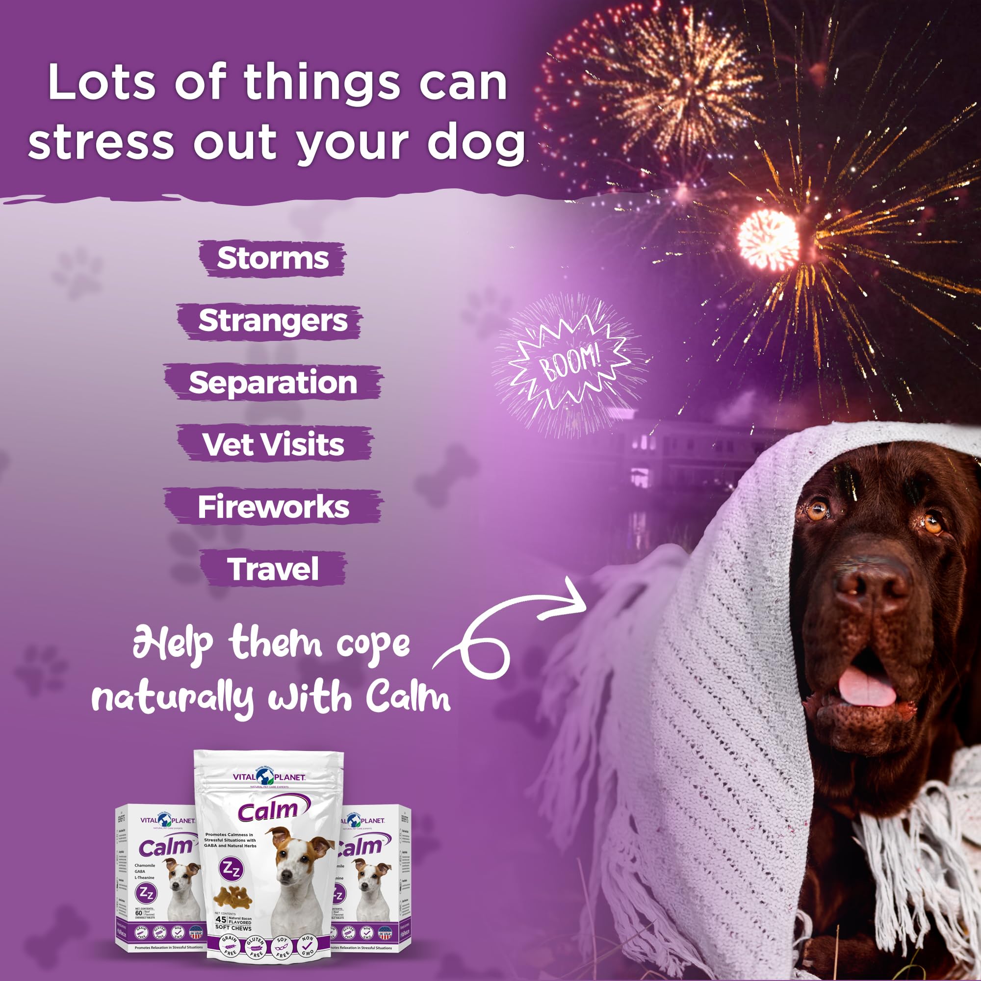Vital Planet Calm dog relaxed at home after use.