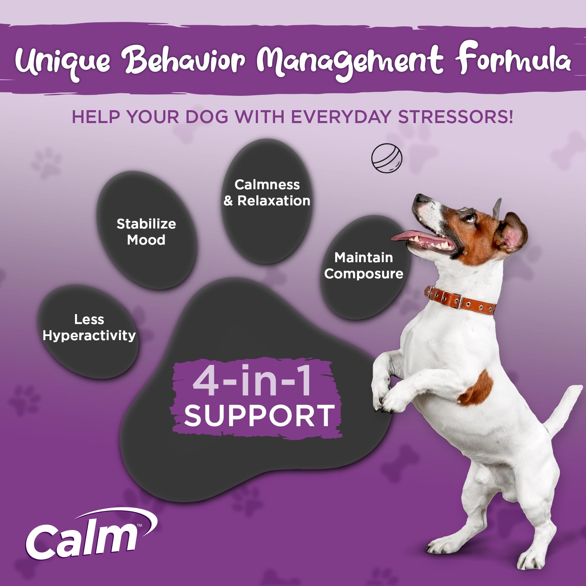 Vital Planet Calm dog chew being served supports relaxation during travel.