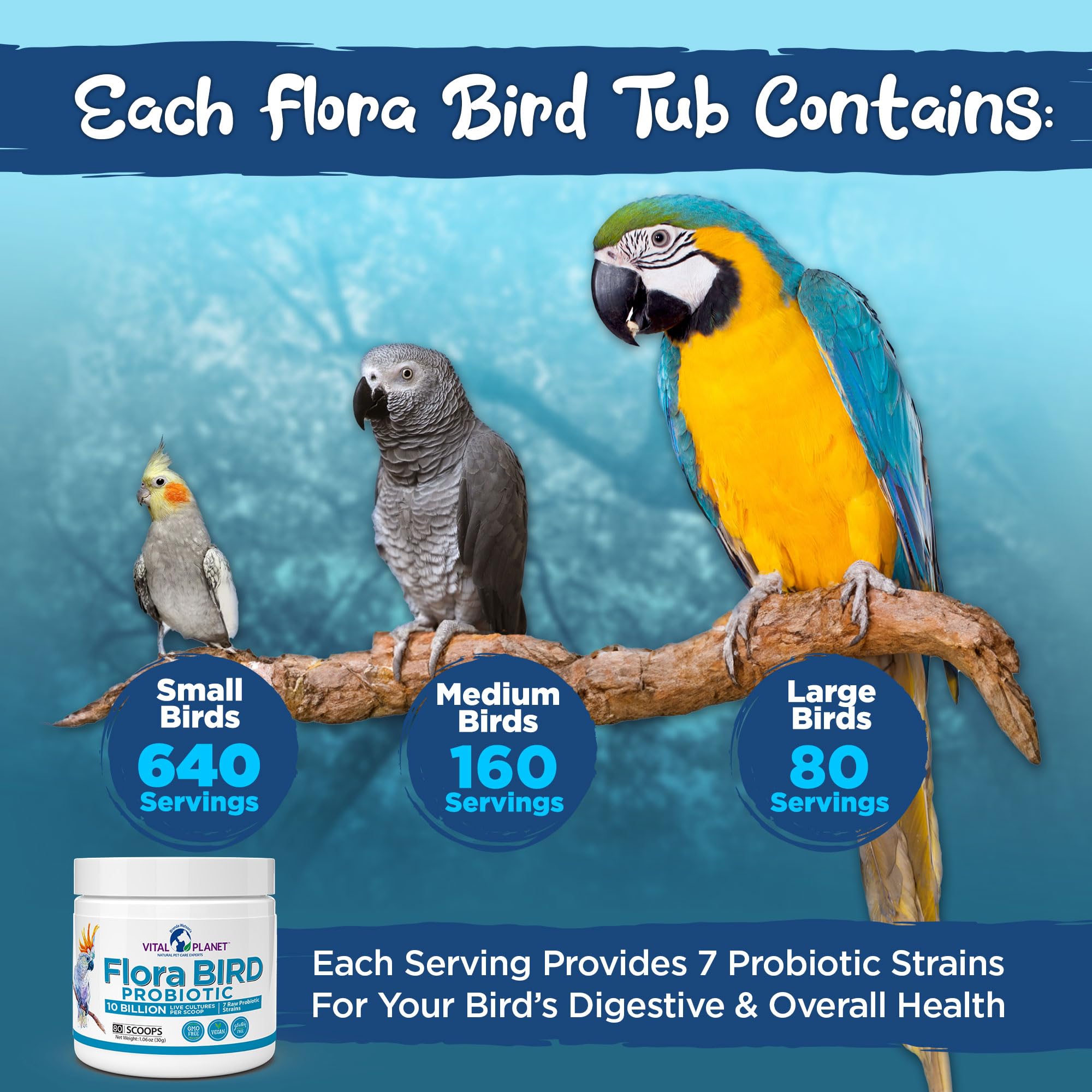 Bird drinking water with Flora Bird probiotic supplement
