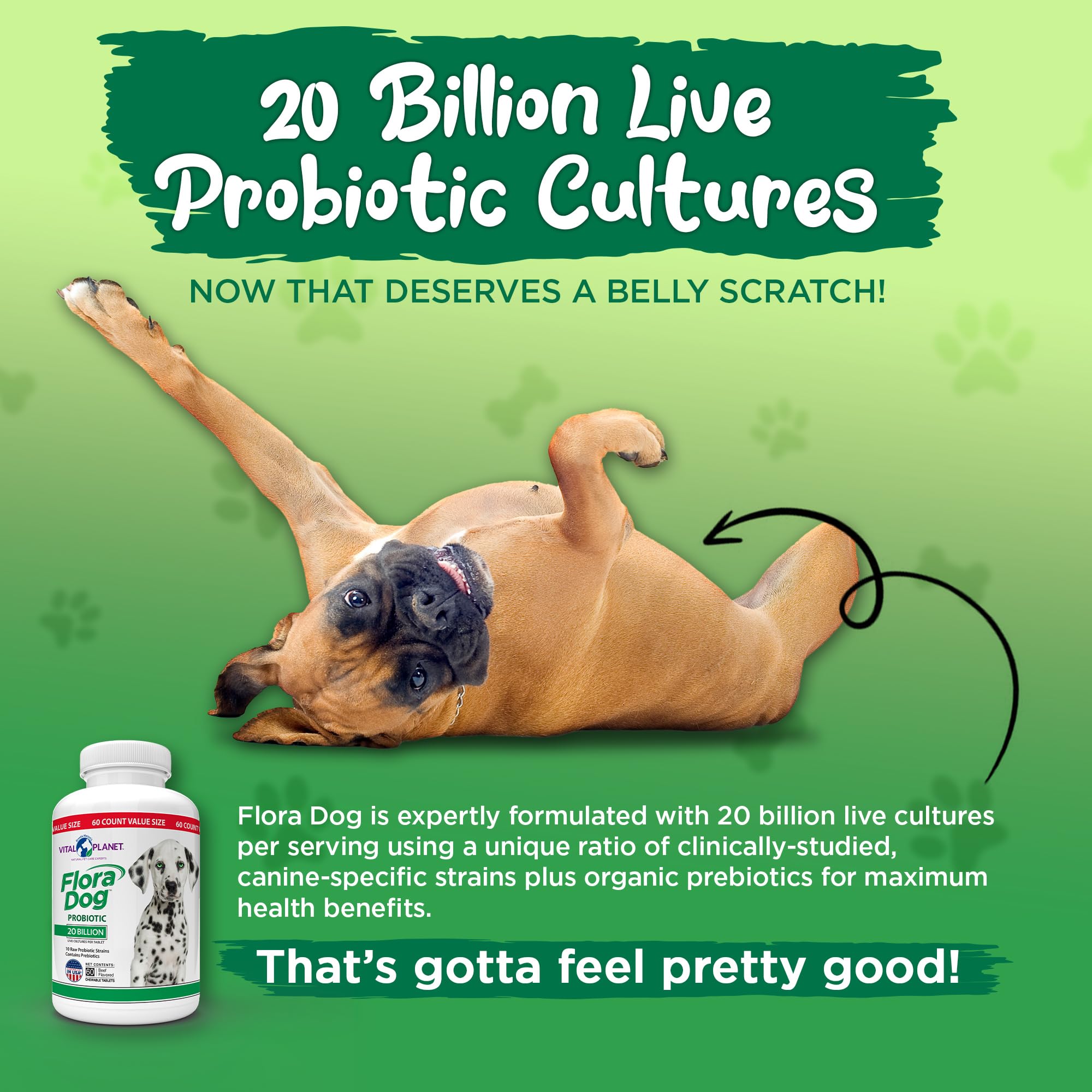 Vital Planet Flora Dog capsules open, convenient sprinkle-on option for smaller dogs.