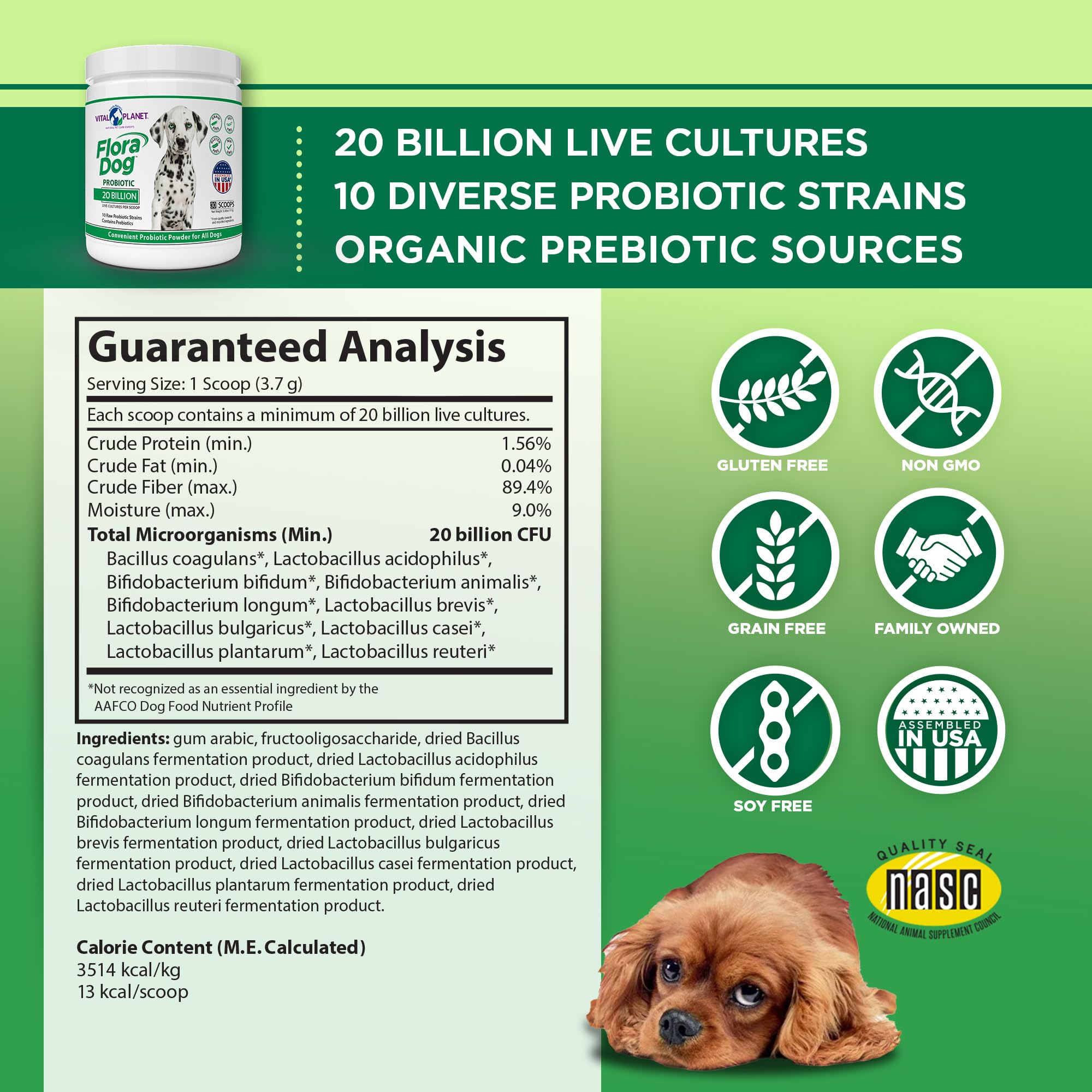 Powder sprinkled on dog food to support balanced gut health with Flora Dog