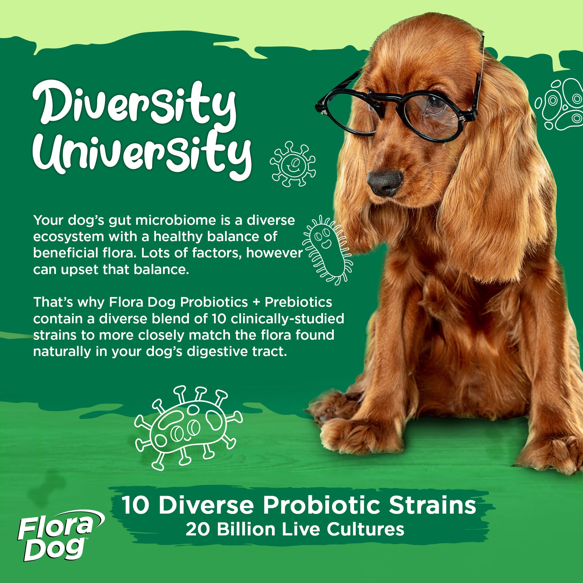 Soft chews option for Flora Dog Probiotic convenient for daily routine