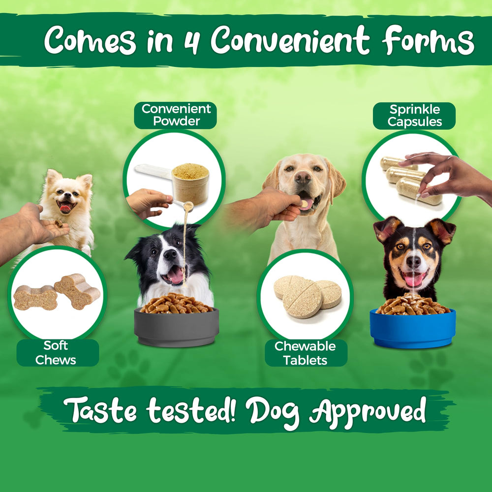 Dog happily chewing Vital Planet Flora Dog Probiotics soft chew