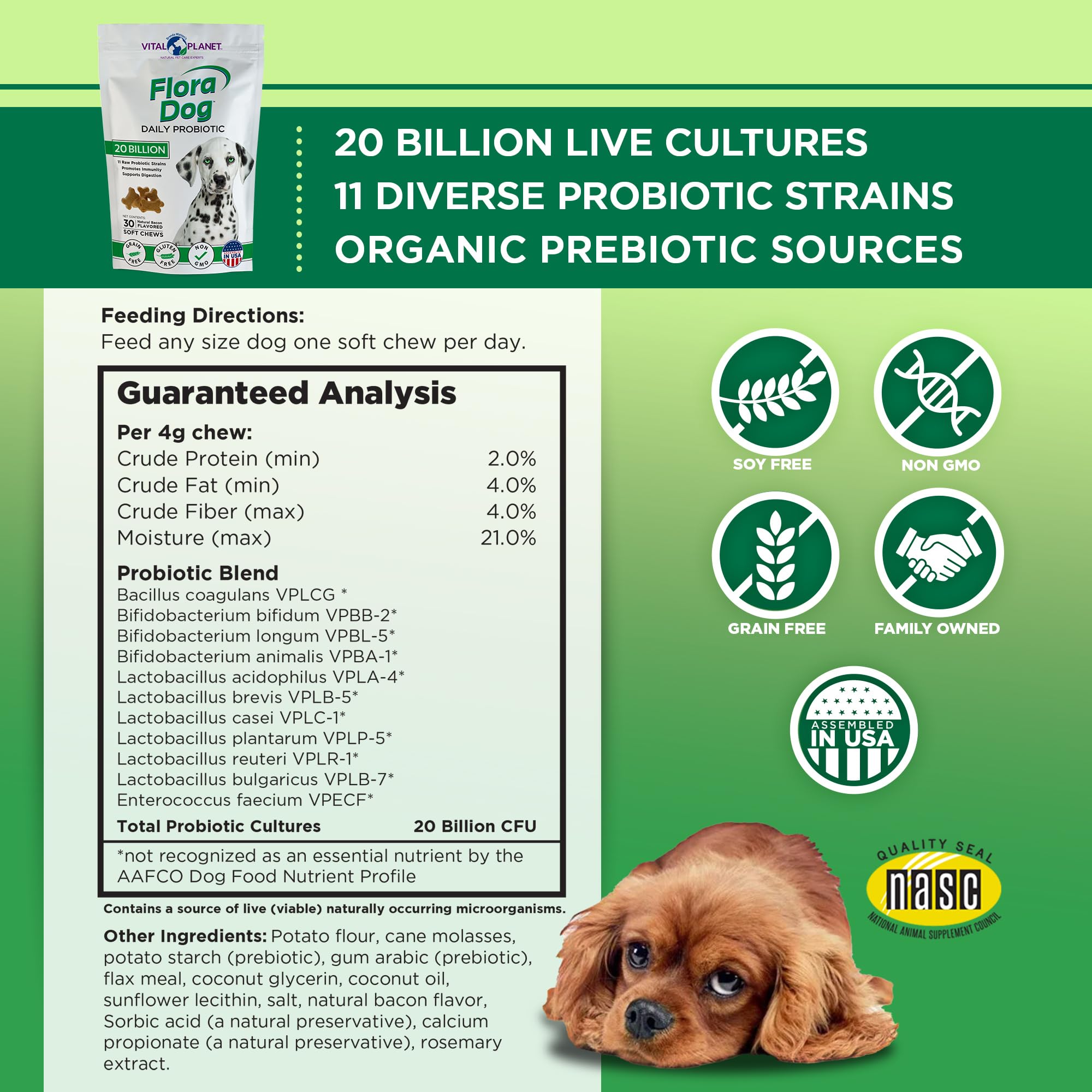 Vital Planet Flora Dog Probiotics bacon-flavor soft chews appeal to dogs