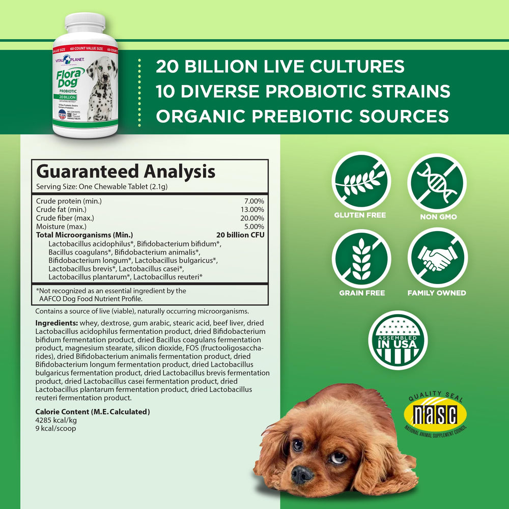 Vital Planet Flora Dog soft chews on counter delivering a tasty probiotic boost.