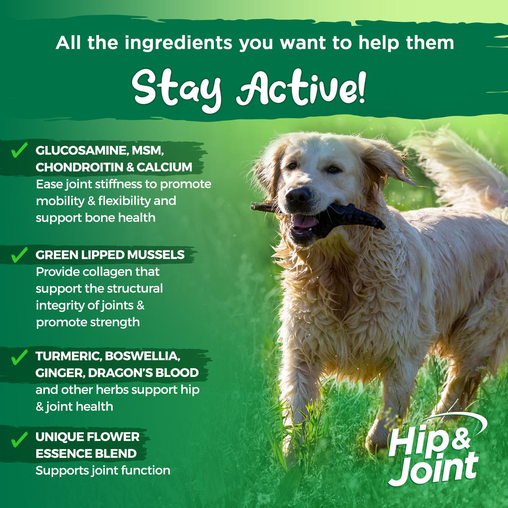 Vital Planet Hip and Joint powder on dog food for easy daily use.