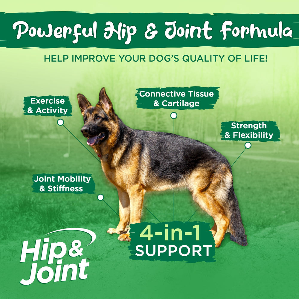 Vital Planet Hip and Joint soft chews, a tasty mobility support treat.