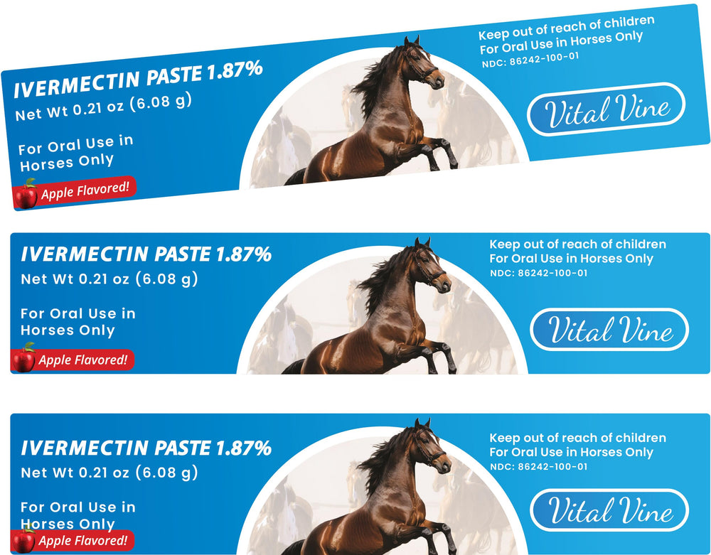 Vital Vine Ivermectin paste in apple flavor in a 6.08 g syringe ready for horses