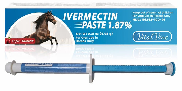 Apple flavored Vital Vine paste visible in syringe for easy dosing with horses