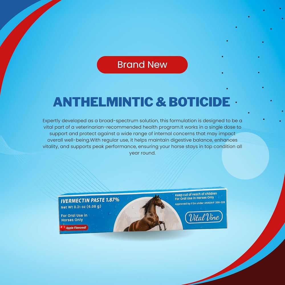 Three syringe pack from Vital Vine for ongoing horse care routines