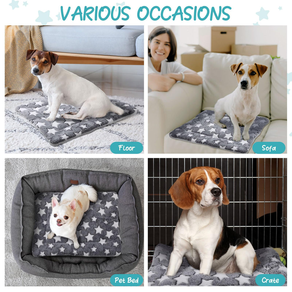VitalCozy outdoor-indoor use shot highlighting portable warmth for pets.
