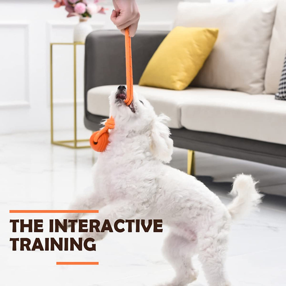 Vitalili bright color dog ball to spark curiosity and engage dogs