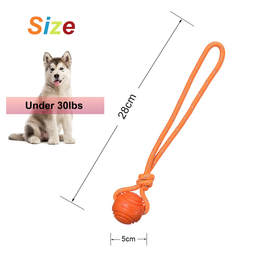 Vitalili buoyant rope toy designed for swimming and water play with dogs