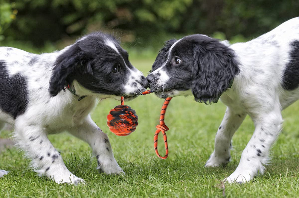 Vitalili dental friendly toy promotes mouth exercise and coordination.