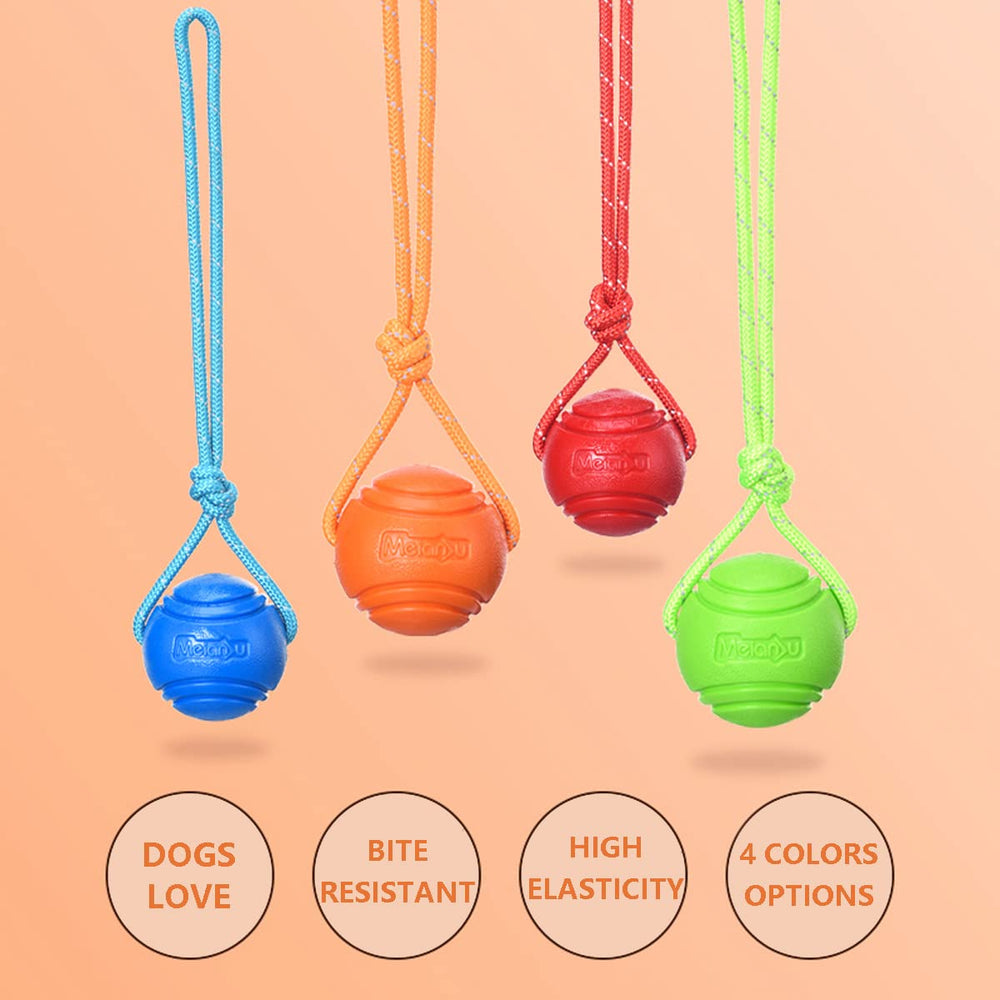 Vitalili textured surface dog toy helps grip and surface cleaning during play