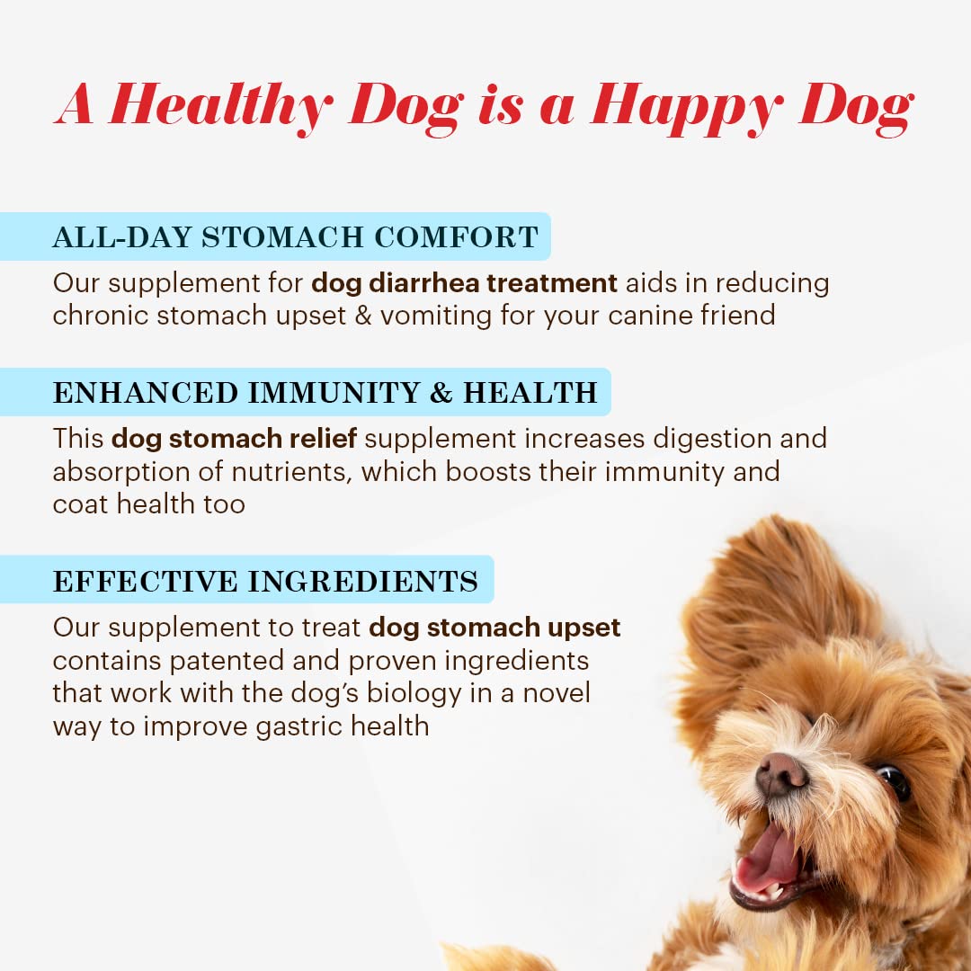 Vitalize Alimend K9 image showing all life stages suitability for dogs