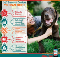 Vitalize Alimend K9 being fed to support comfort during upset stomach