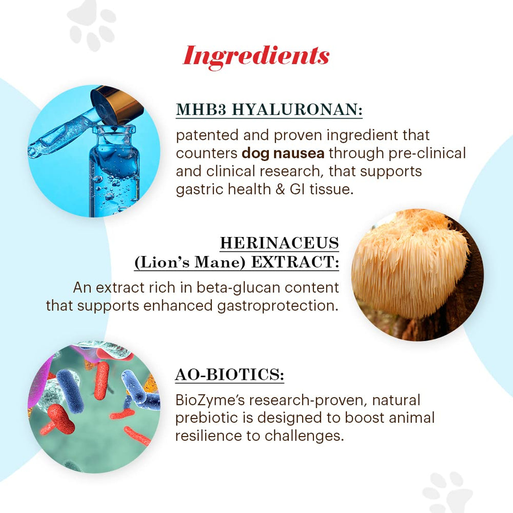 Vitalize Alimend K9 ingredient close-up of MHB3 Hyaluronan and Lion's mane
