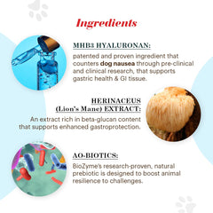 Vitalize Alimend K9 ingredient close-up of MHB3 Hyaluronan and Lion's mane