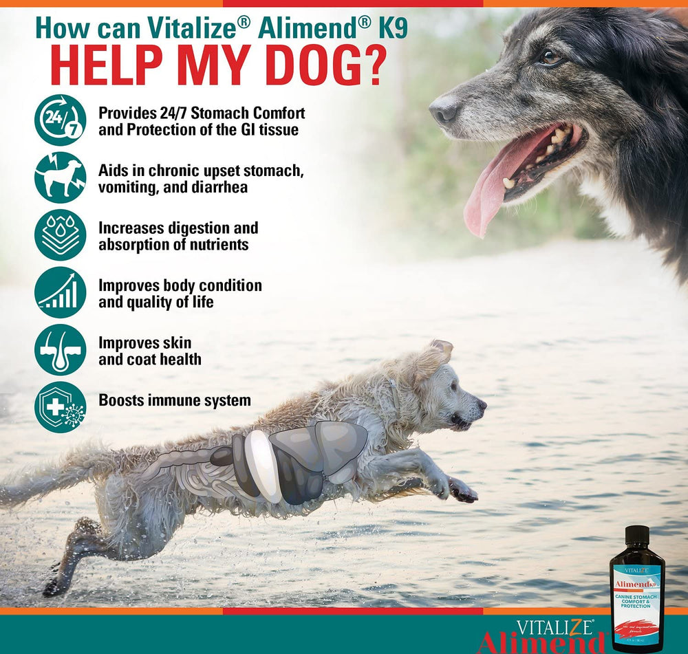 Vitalize Alimend K9 illustration of prebiotic Amaferm supporting gut health