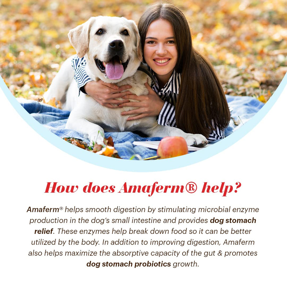 Vitalize Alimend K9 used by senior dog for comfortable digestion