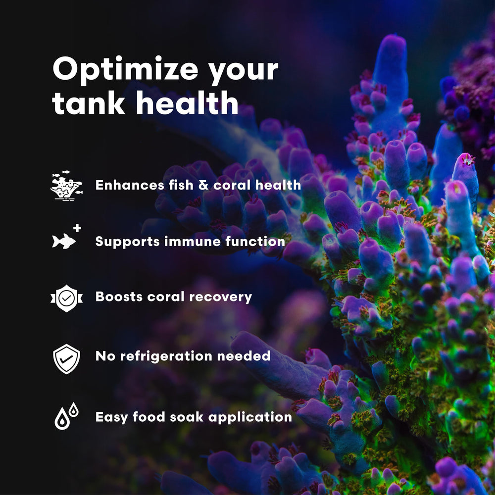 Food soaking with Vitamarin-M to enhance absorption in fish and corals.