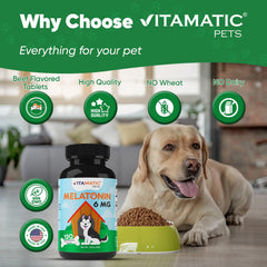 Open bottle of Vitamatic Melatonin for Dogs with chews visible for quick soothing moments.