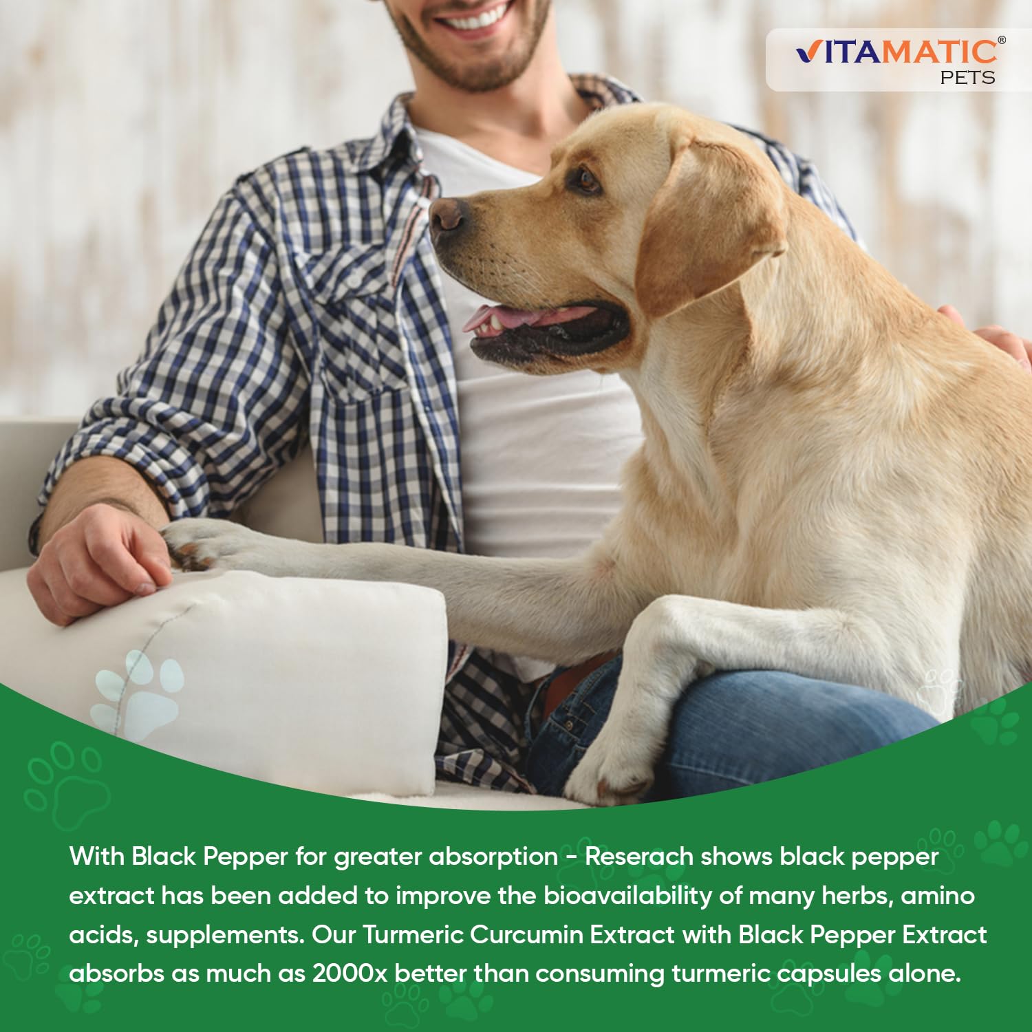 Vitamatic Turmeric for Dogs dog sniffing chews
