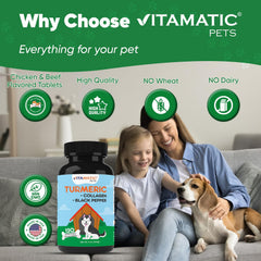 Vitamatic Turmeric for Dogs hip and joint support illustrated in chew texture