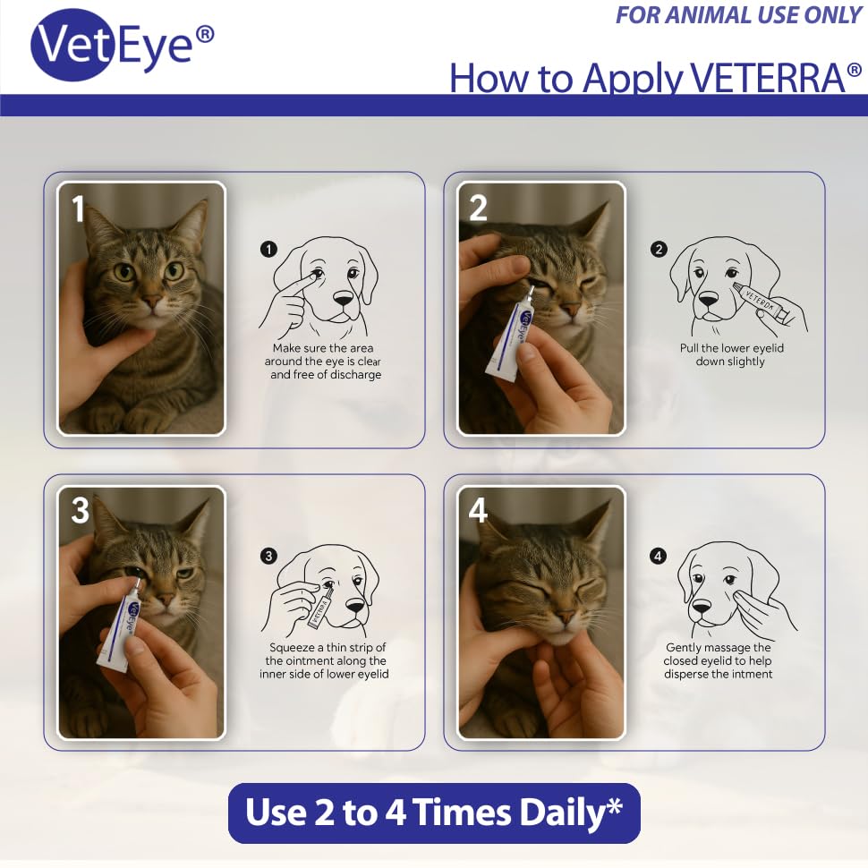 VetEye cream cat eye ointment supports feline eye comfort