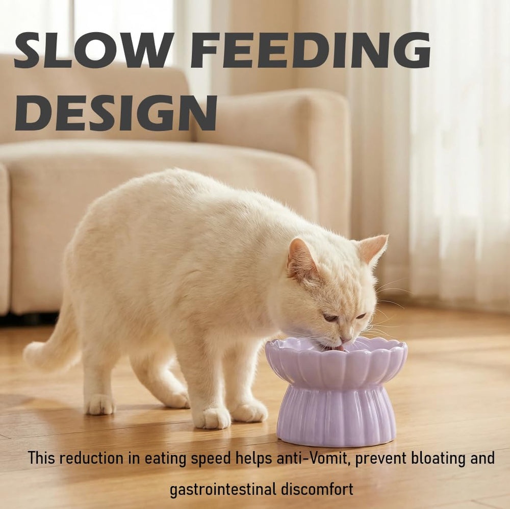 Vitisyao purple elevated cat bowl offers comfortable feeding session.