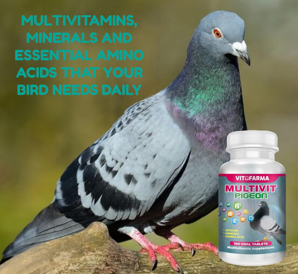 VITOFARMA Multivit Pigeon bottle front showing complete nutrition for birds.