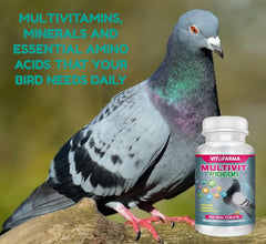 VITOFARMA Multivit Pigeon bottle front showing complete nutrition for birds.