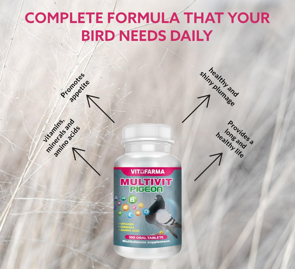 VITOFARMA Multivit Pigeon feathers look vibrant and healthy.