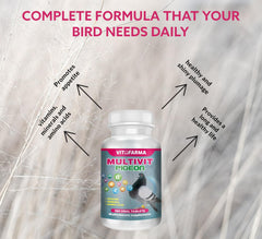 VITOFARMA Multivit Pigeon feathers look vibrant and healthy.
