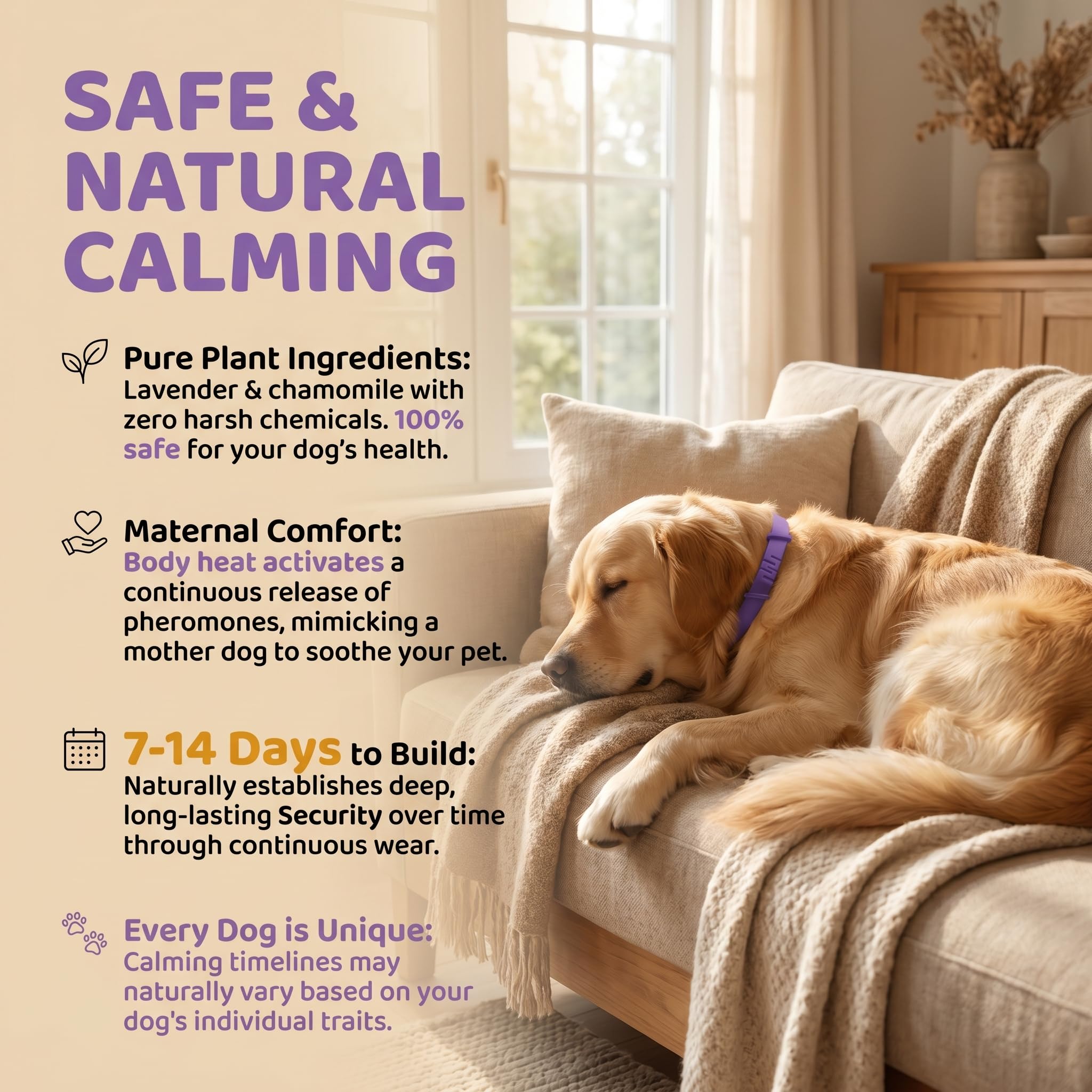 VivaciousVision Calming Collar 4-pack box for long-term pet calm.