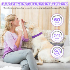 VivaciousVision Calming Collar lock closeup shows secure fit and safety reminder.
