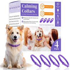 VivaciousVision Calming Collar worn by a dog in purple for daily anxious mood support.