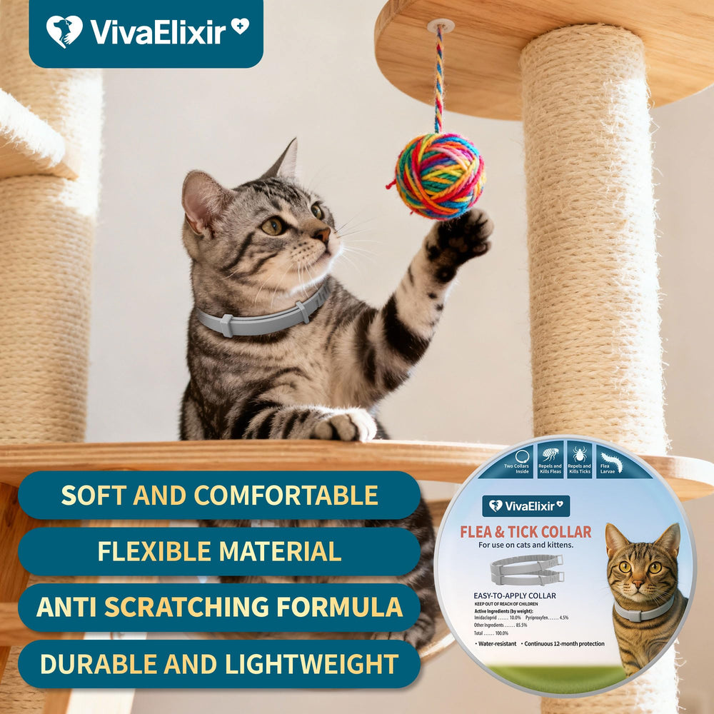 VivaElixir cat collar shown on a cat to illustrate wearability.