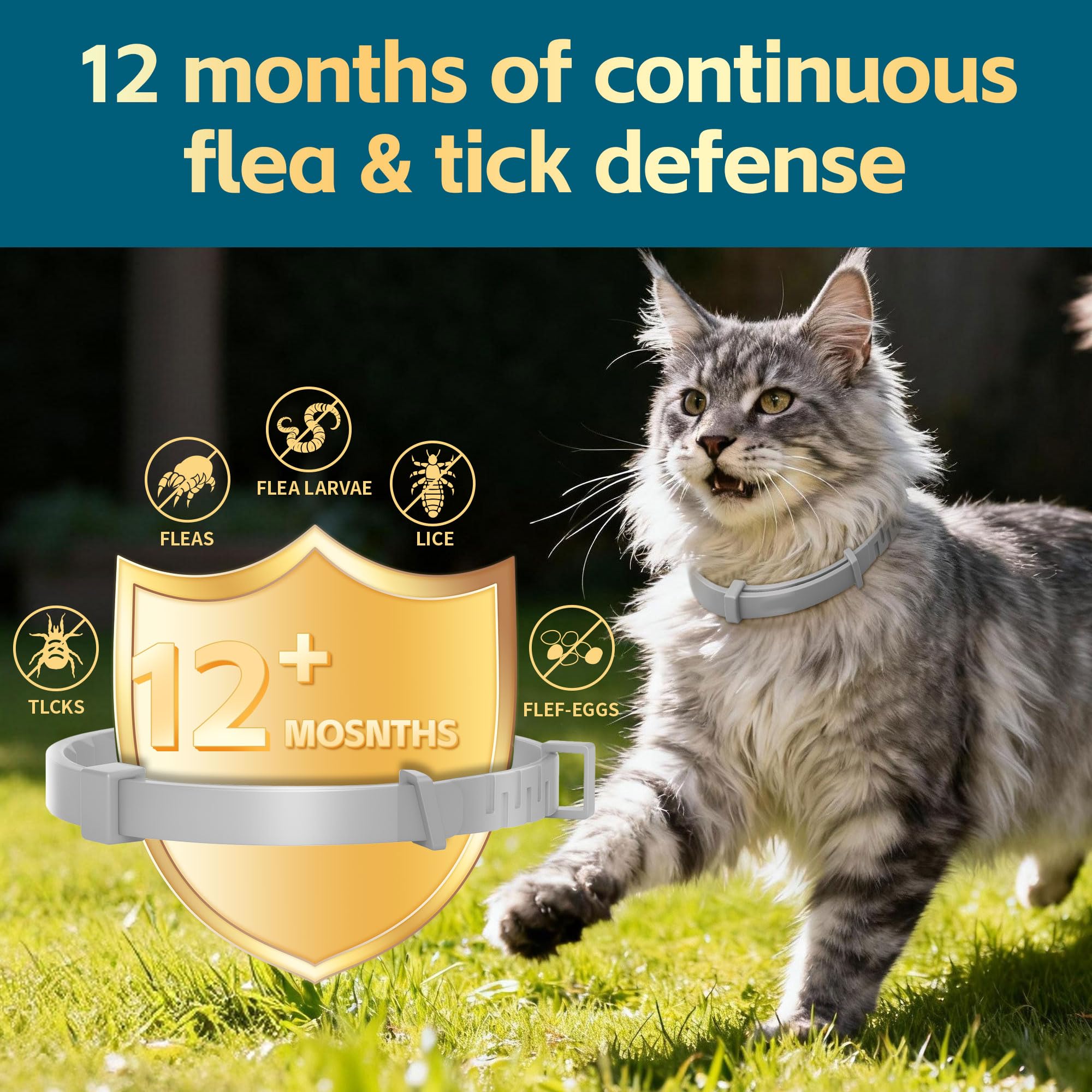 VivaElixir waterproof cat collar shows a waterproof design for bathing and outdoor activities.